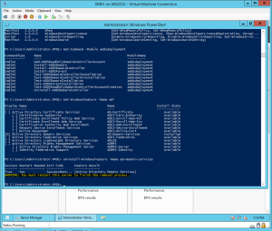 Remove-Ad-Domain-Services